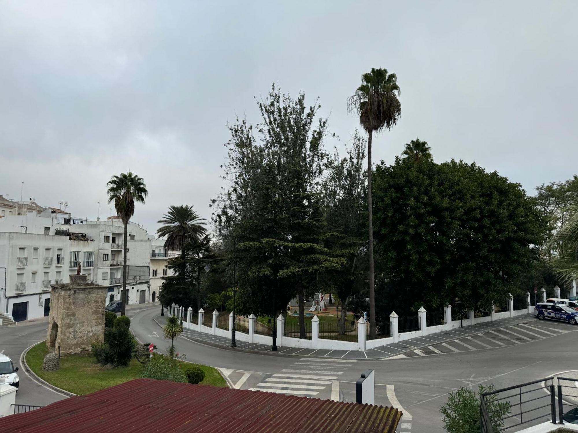 El Olivo Vejer